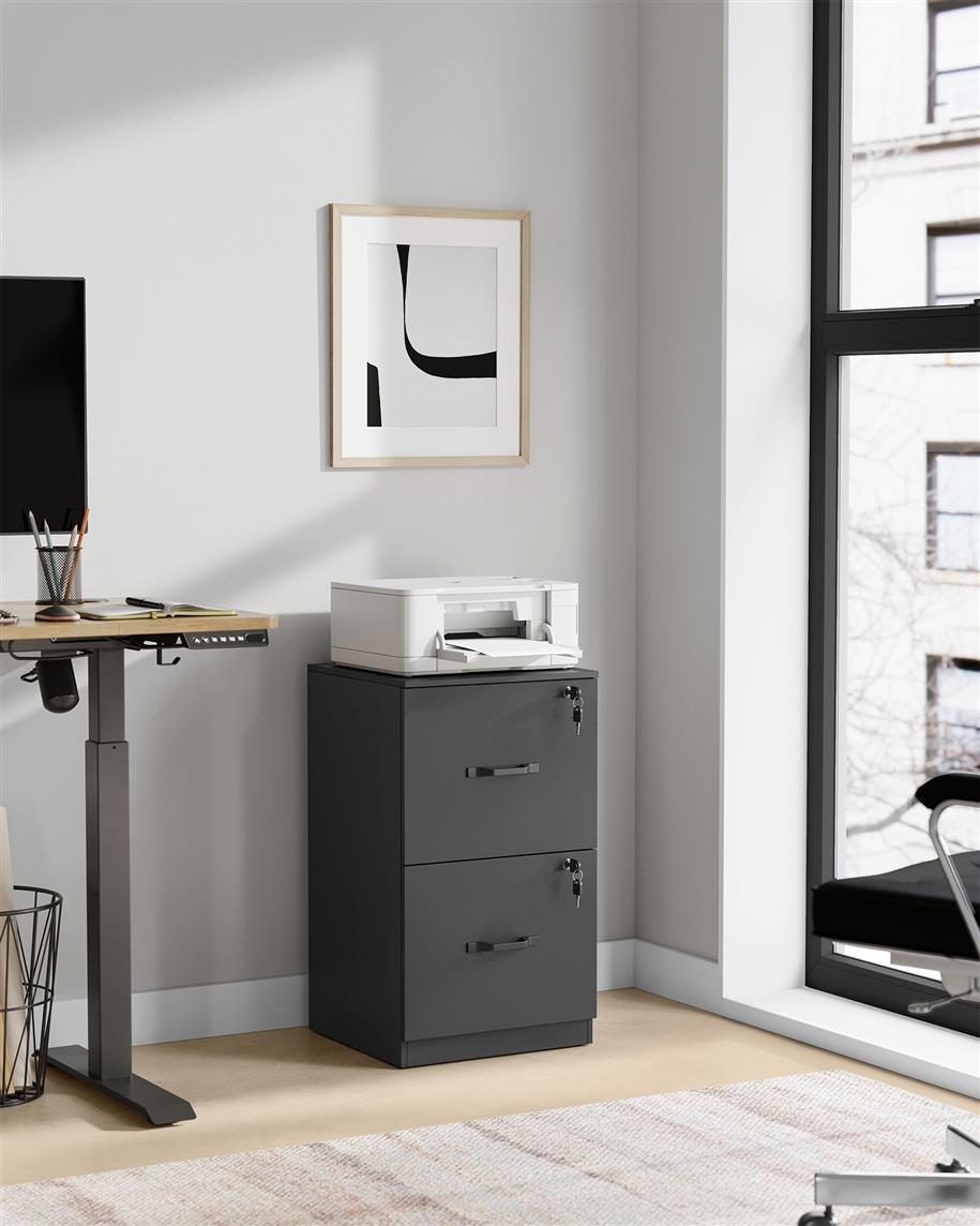 File Cabinet - 2 Drawers - Lockable - Printer Stand
