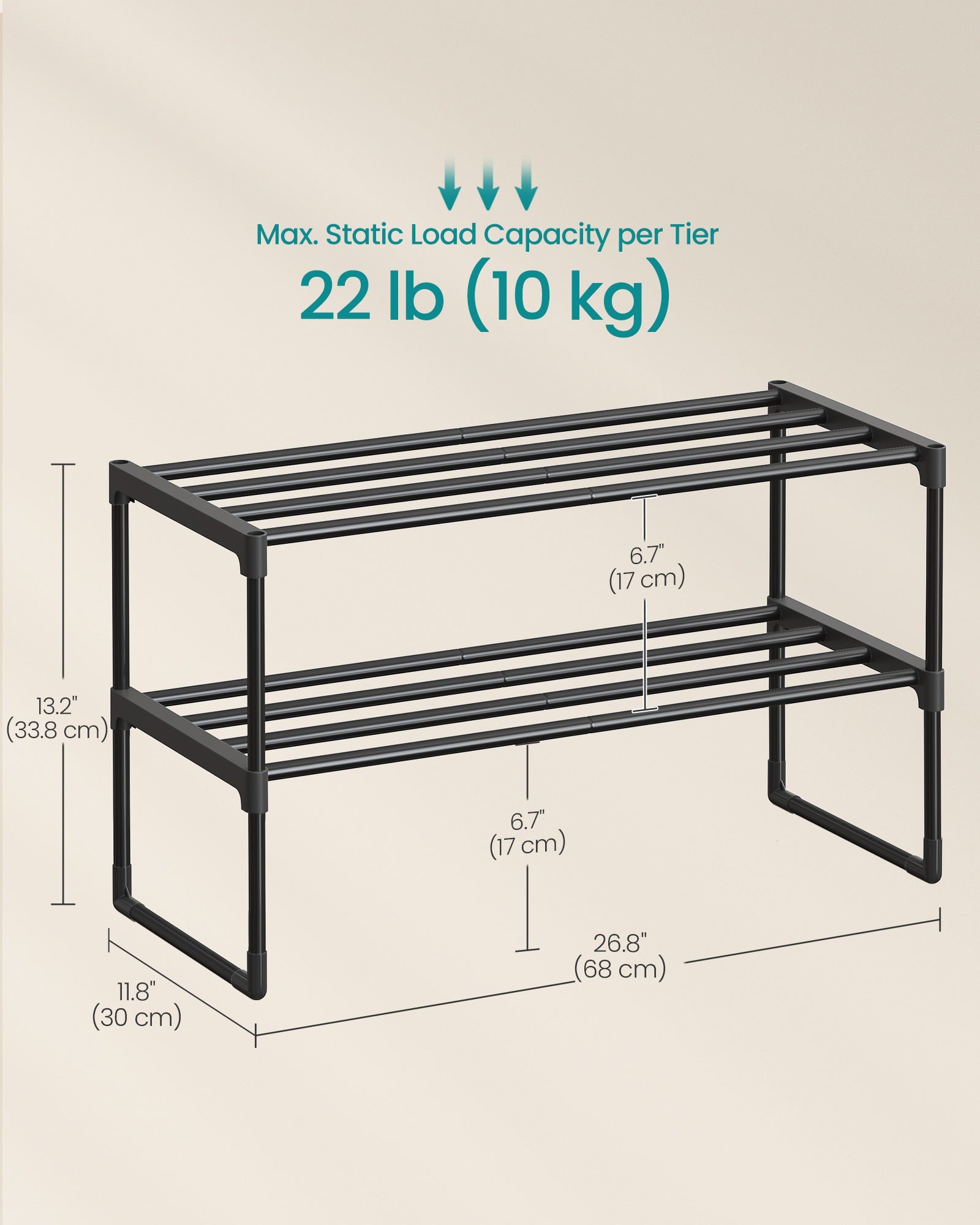 Shoe Rack 2-Tier Shoe Organizer 11.8 x 26.8 x 13.2 Inches Black