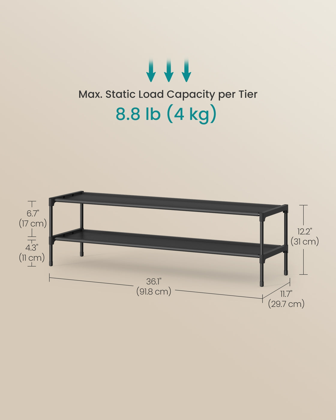 Slim 2-Tier Shoe Rack