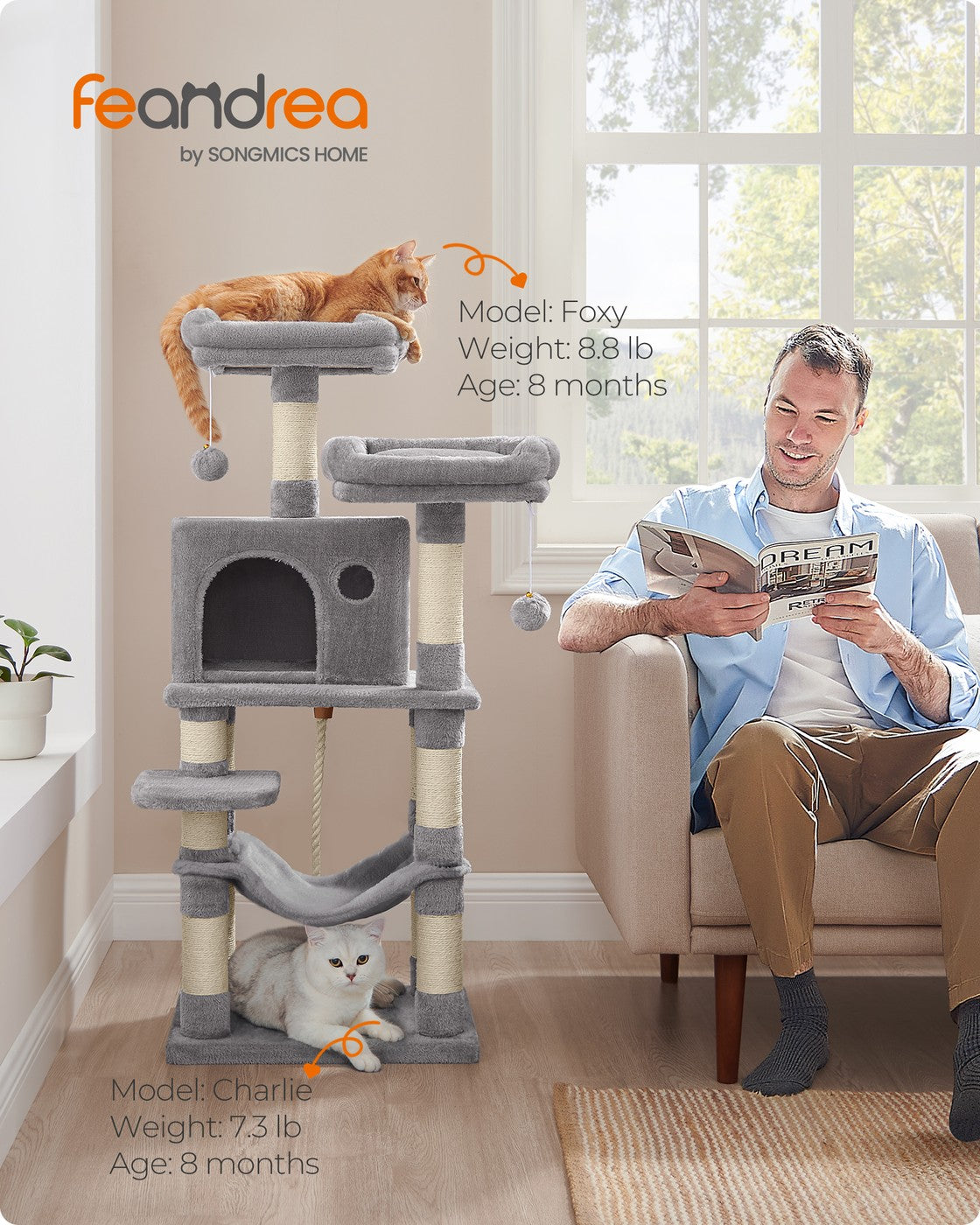Multi-Level Cat Tower