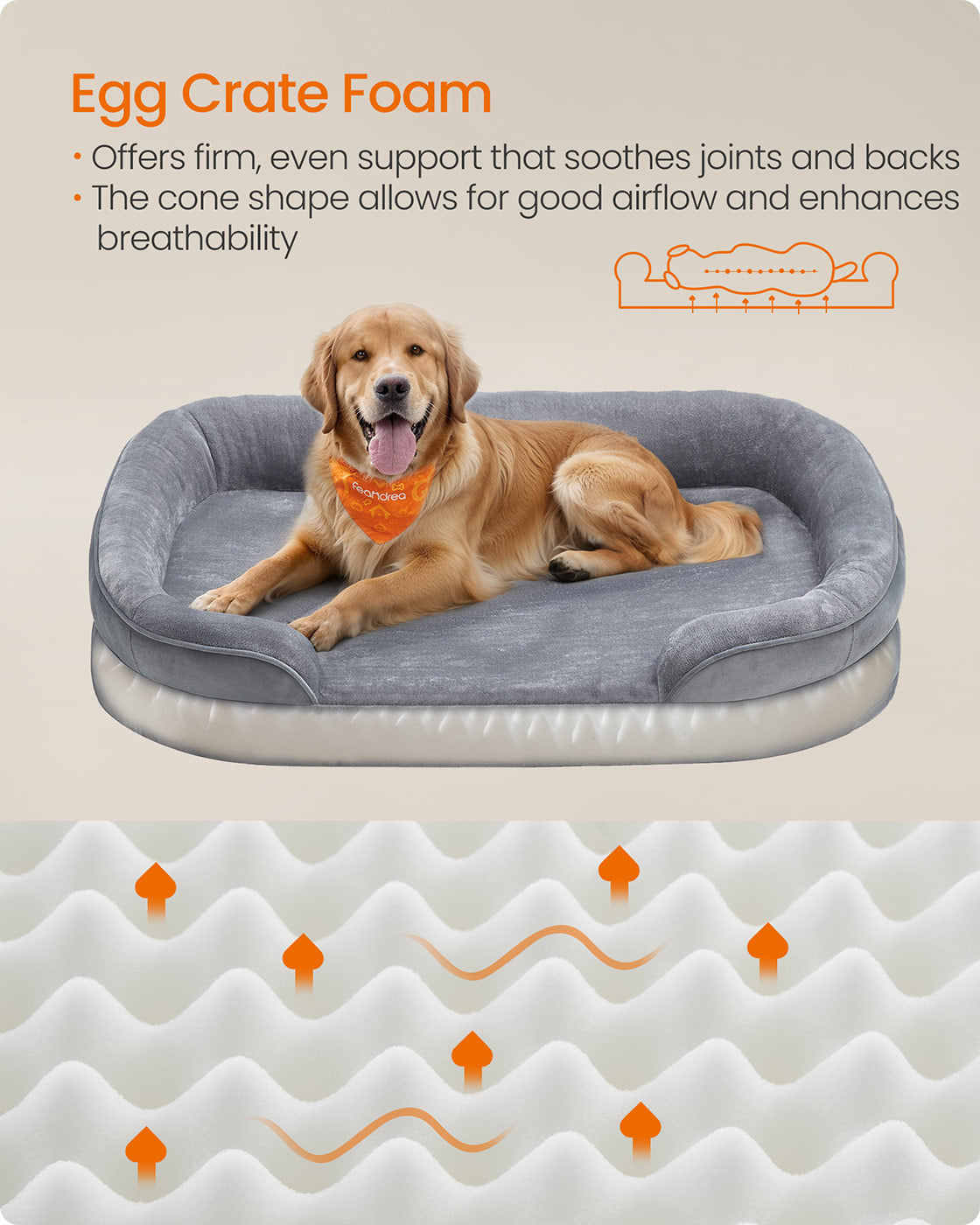 Dog Bed
