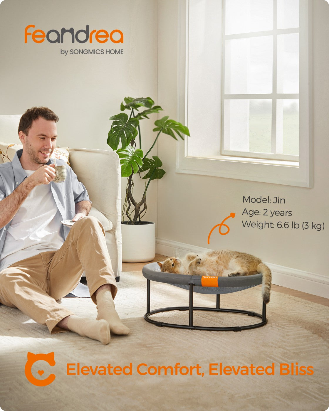 Elevated Cat Bed for Average Cats and Miniature Dogs - Up to 20 Lb Gray - Gray