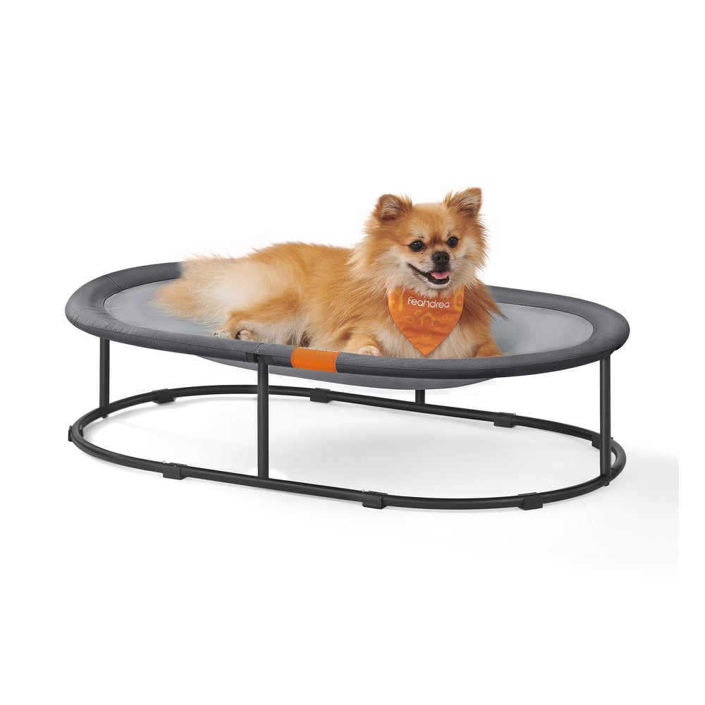 Elevated Cat Bed for Average Cats and Miniature Dogs - Up to 20 Lb Gray - Gray - 32.7"L x 20.9"W x 8.7"H