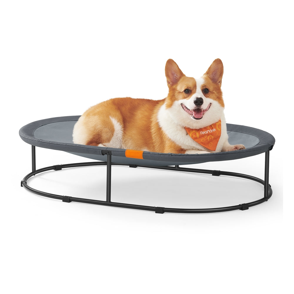 Elevated Cat Bed for Average Cats and Miniature Dogs - Up to 20 Lb Gray - Gray - XXL(38.6"L x 24.8"W x 8.7"H)