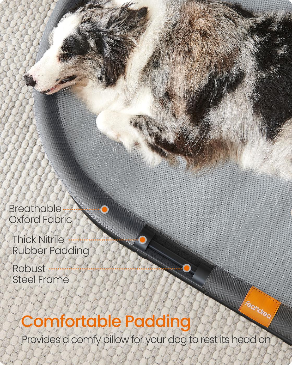 Elevated Cat Bed - for Average Cats and Miniature Dogs - Up to 20 lb - Gray