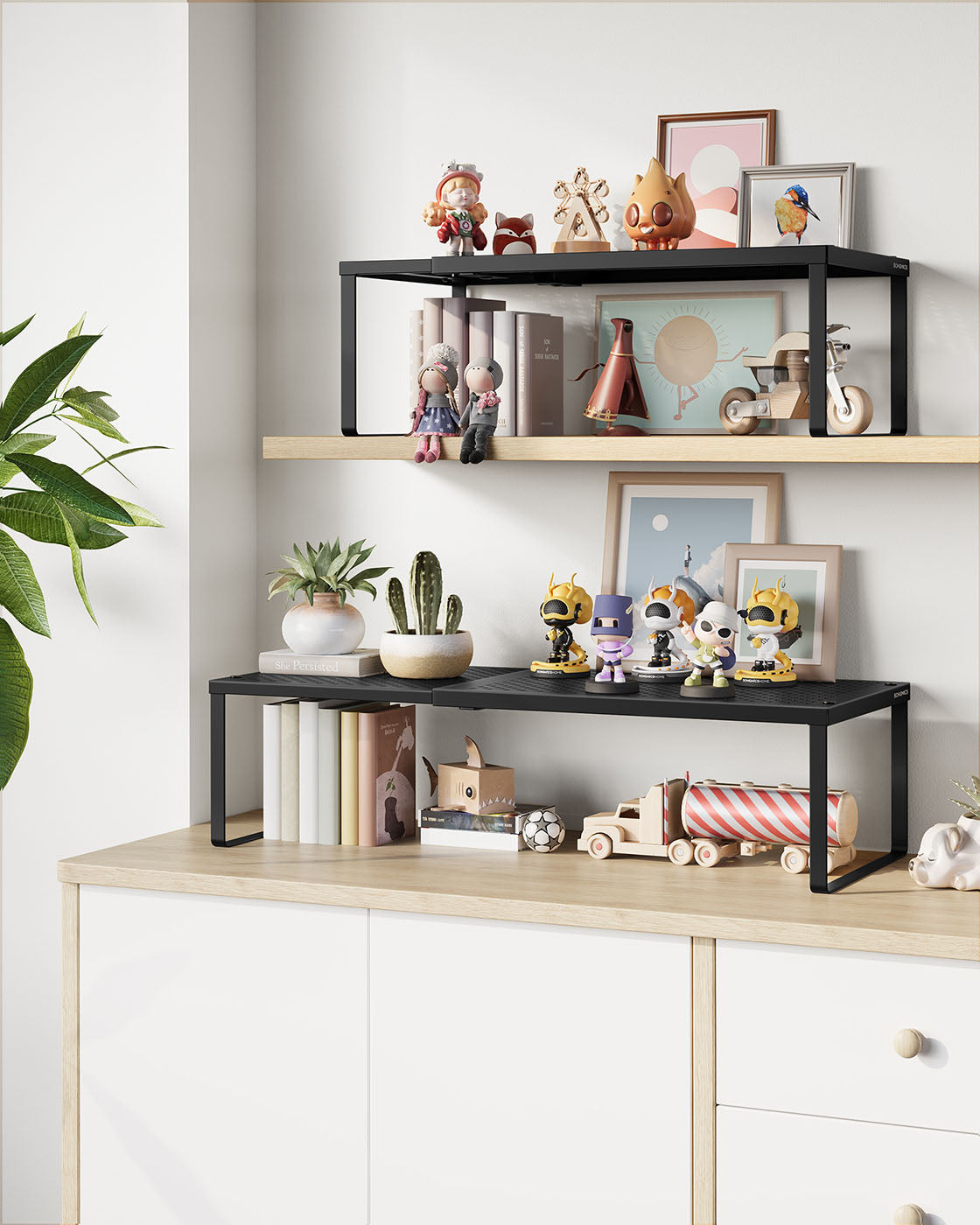 Expandable Spice Rack