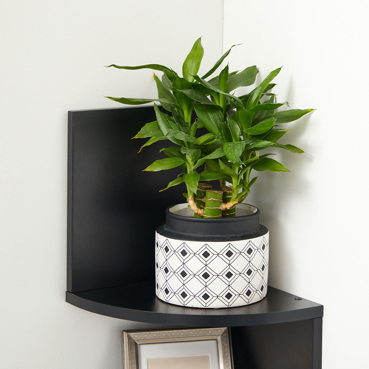 5-Tier Floating Corner Bookshelf - Ink Black