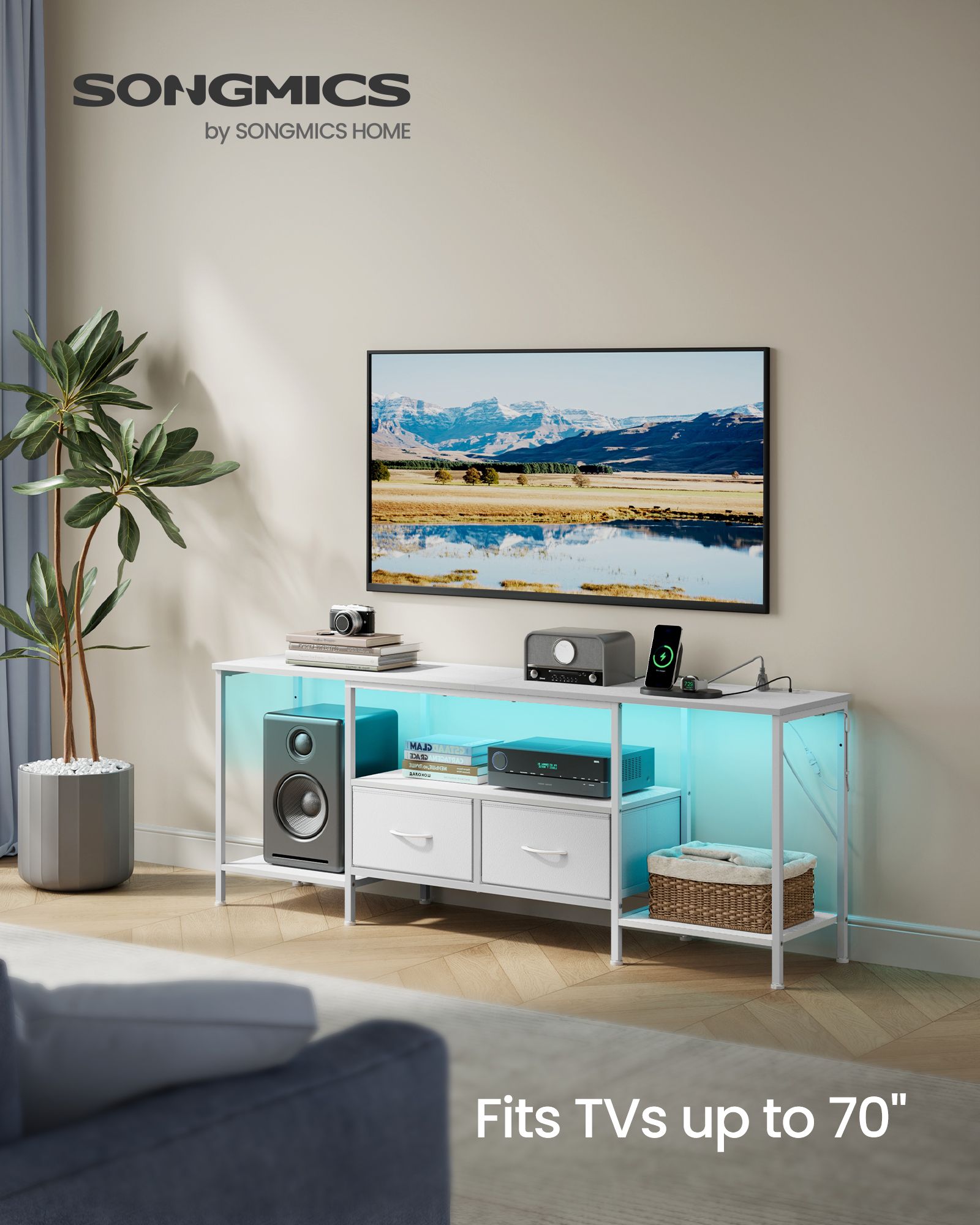 TV Stand