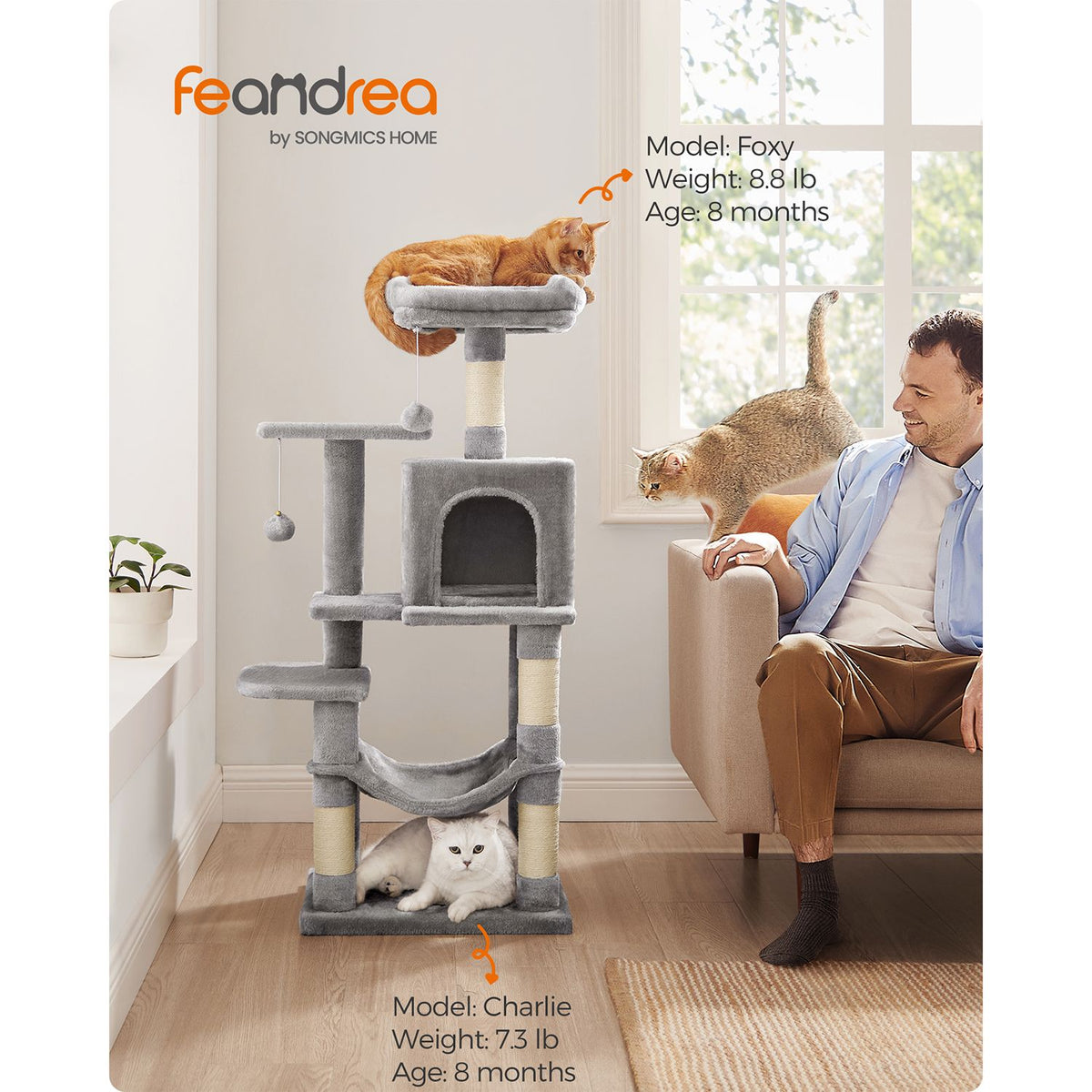 Cat Tree - Multi-Level Condo - 4 Scratching Posts - Hammock