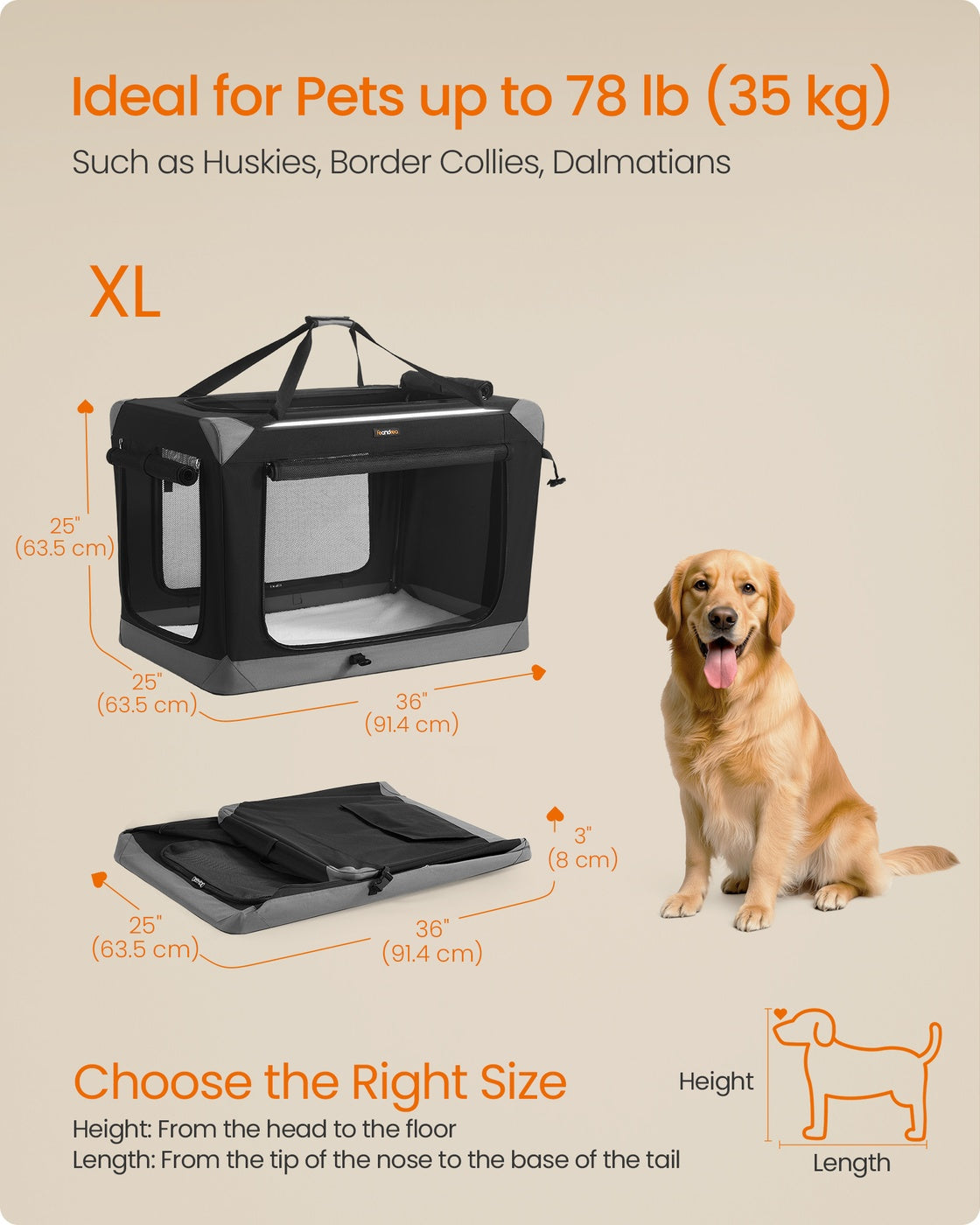 Collapsible Fabric Dog Crate - 36 Inch - Mesh Doors - Folds Flat For Travel
