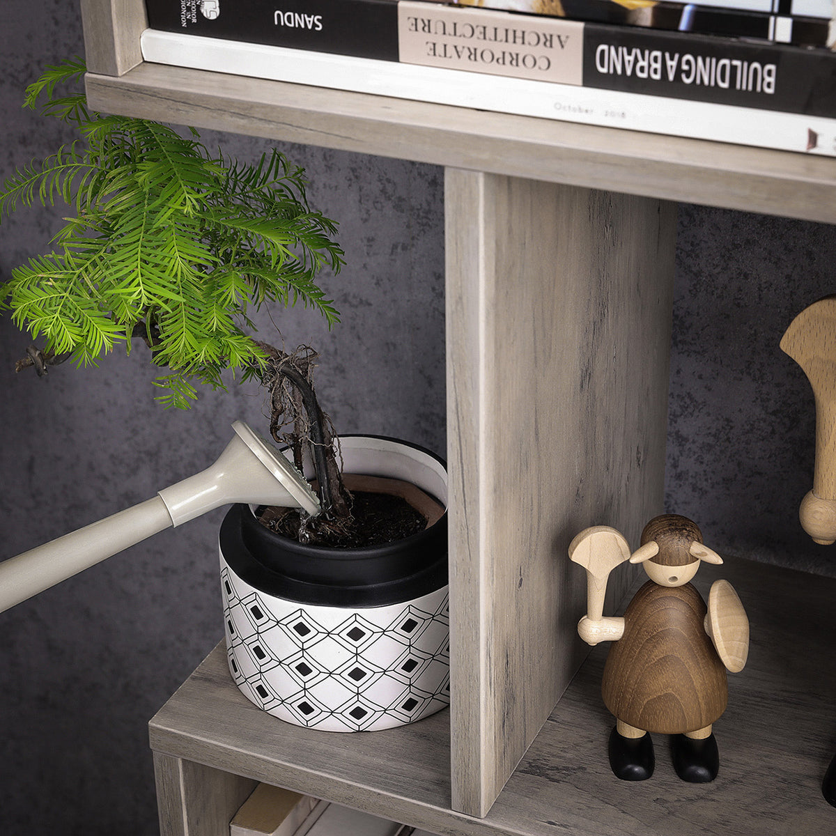 Bookcase and Display Shelf - White