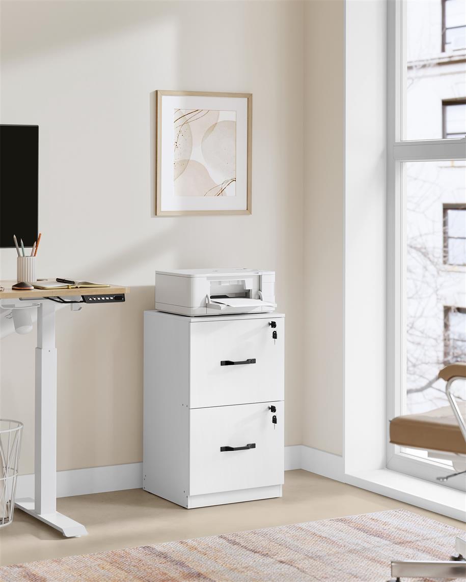 File Cabinet - 2 Drawers - Lockable - Printer Stand
