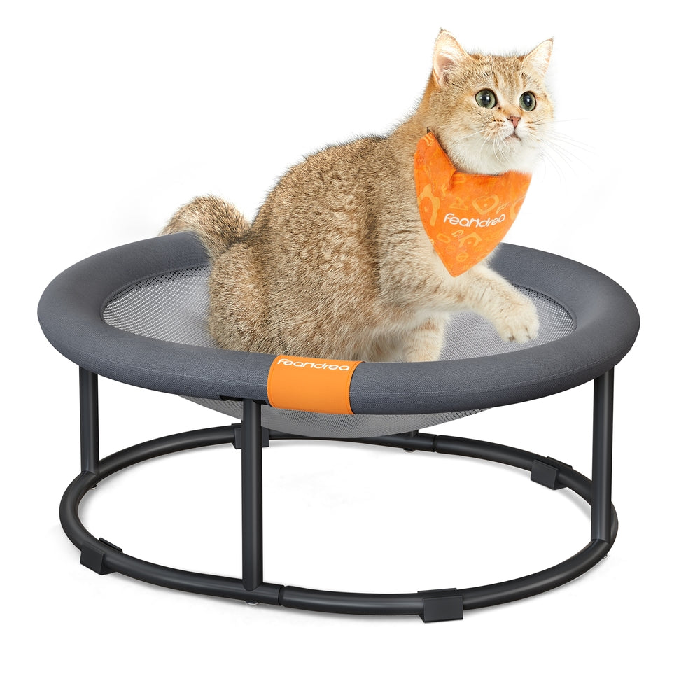 Elevated Cat Bed for Average Cats and Miniature Dogs - Up to 20 Lb Gray - Gray - 20.5"L x 16.5"W x 7.9"H