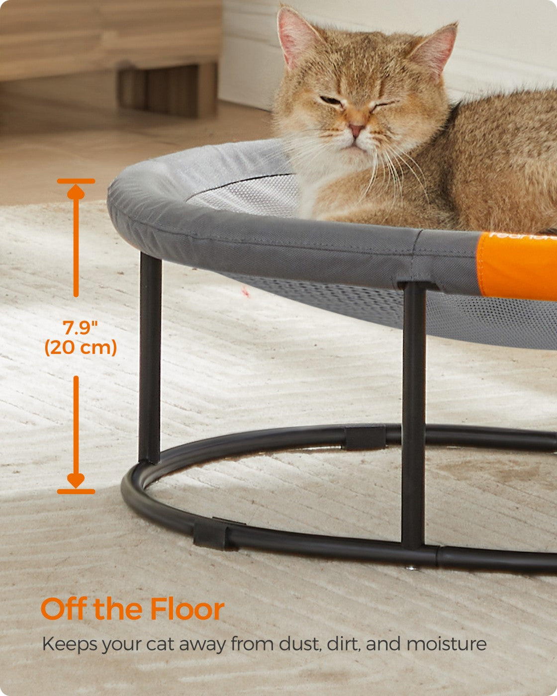 Elevated Cat Bed for Average Cats and Miniature Dogs - Up to 20 Lb Gray - Gray