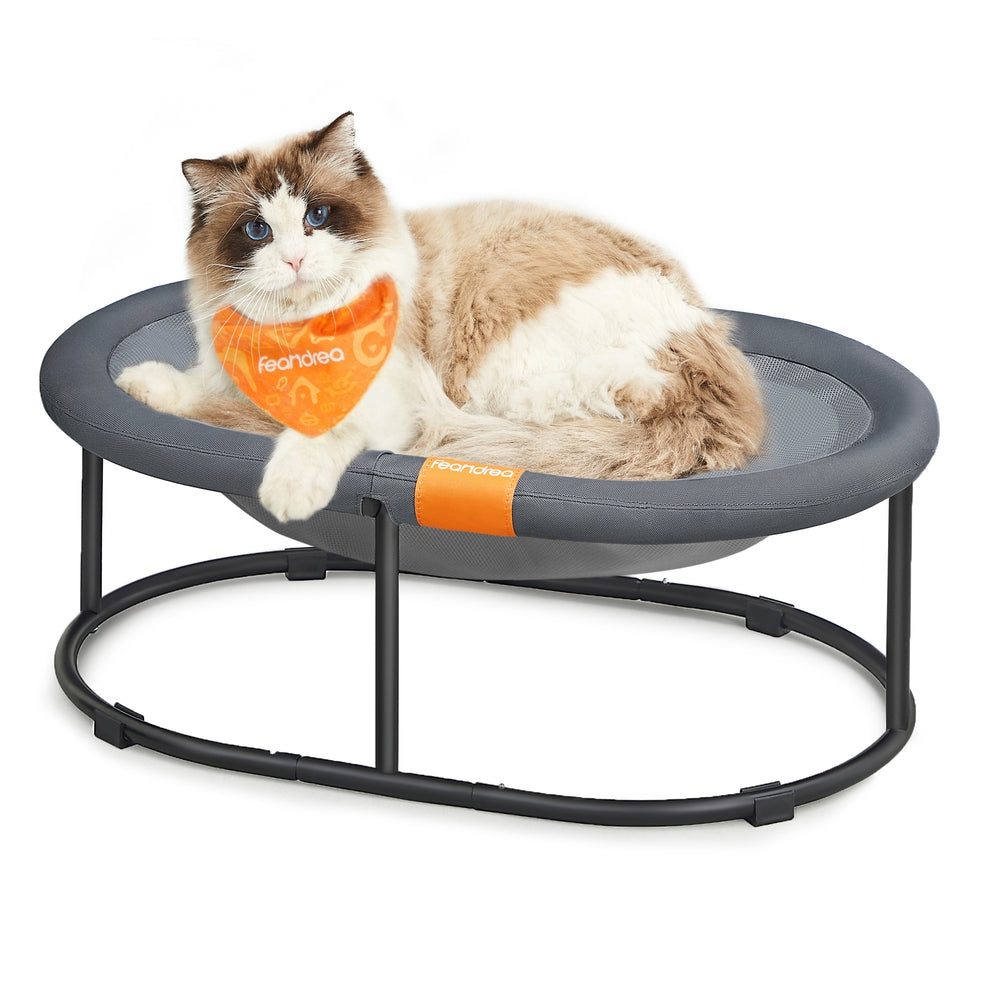 Elevated Cat Bed for Average Cats and Miniature Dogs - Up to 20 Lb Gray - Gray - 24.4"L x 16.5"W x 7.9"H