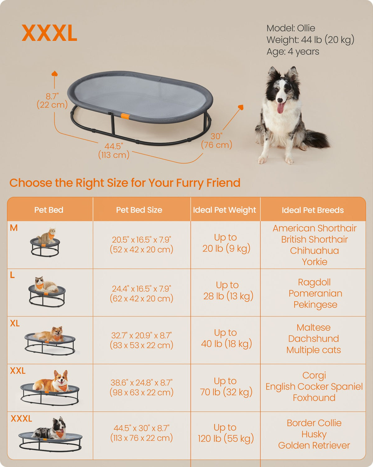 Elevated Cat Bed - for Average Cats and Miniature Dogs - Up to 20 lb - Gray