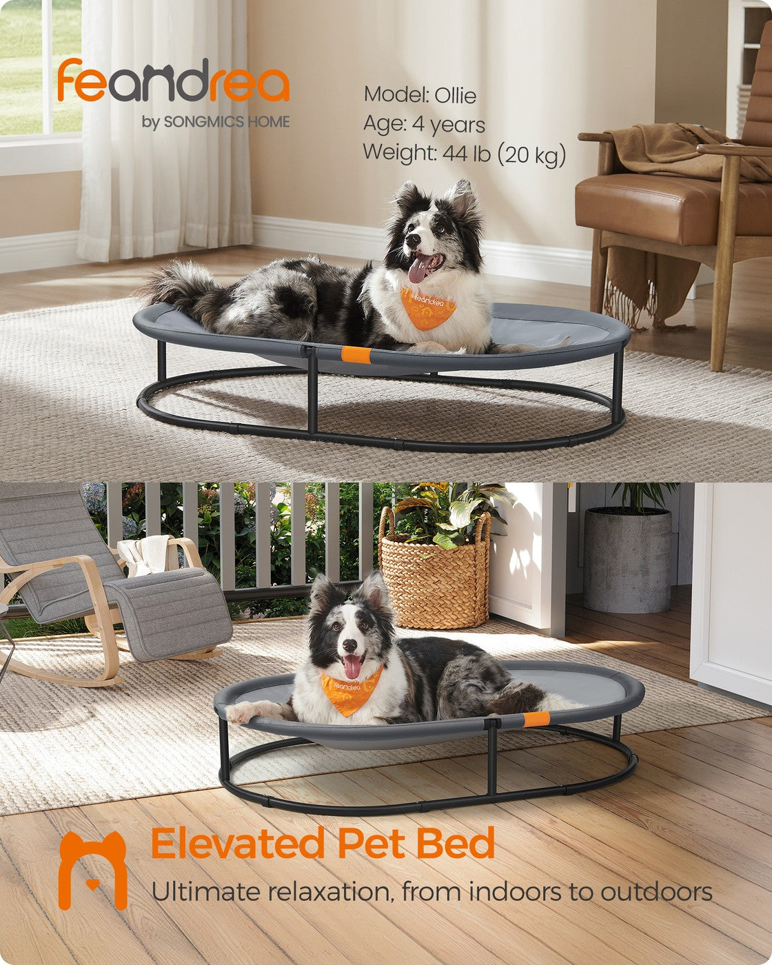 Elevated Cat Bed - for Average Cats and Miniature Dogs - Up to 20 lb - Gray