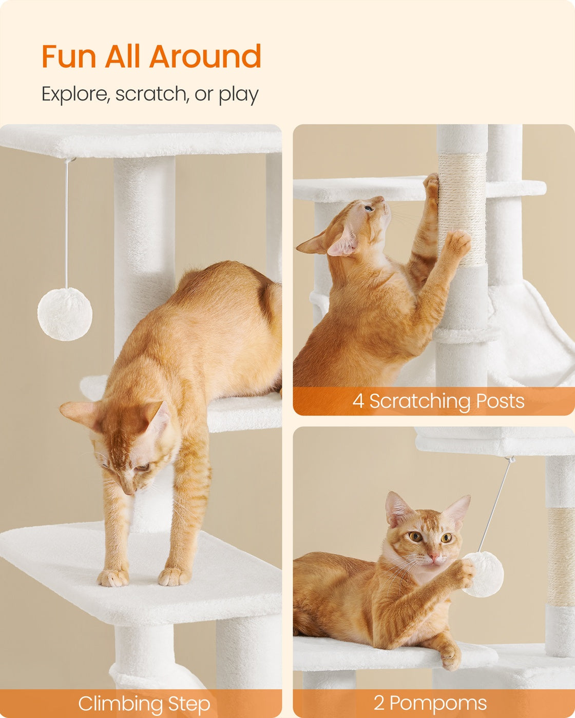 Cat Tree - Multi-Level Condo - 4 Scratching Posts - Hammock